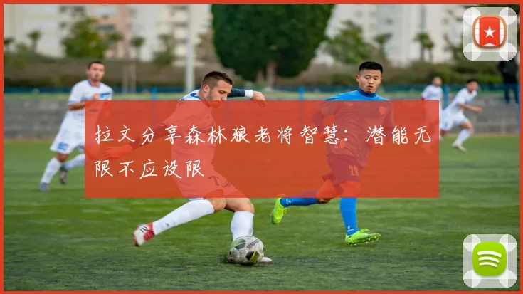 拉文分享森林狼老将智慧：潜能无限不应设限