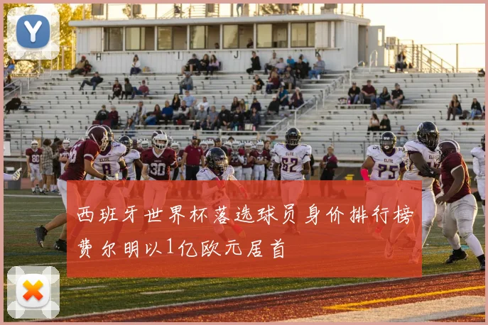 西班牙世界杯落选球员身价排行榜费尔明以1亿欧元居首