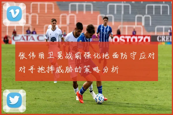 张伟丽卫冕战前强化地面防守应对对手抱摔威胁的策略分析